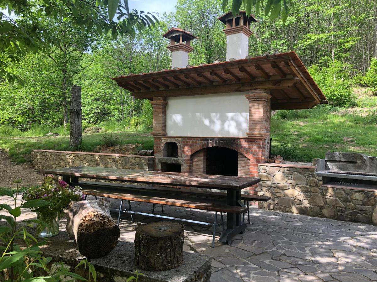 Agriturismo La Casa Nel Bosco Boveglio 외부 사진