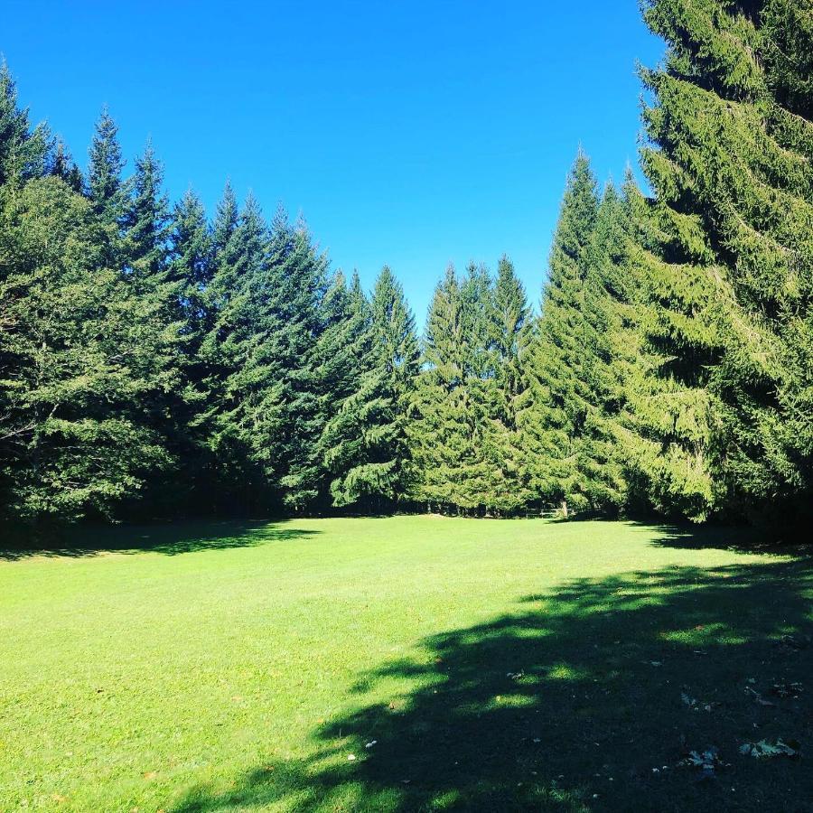 Agriturismo La Casa Nel Bosco Boveglio 외부 사진