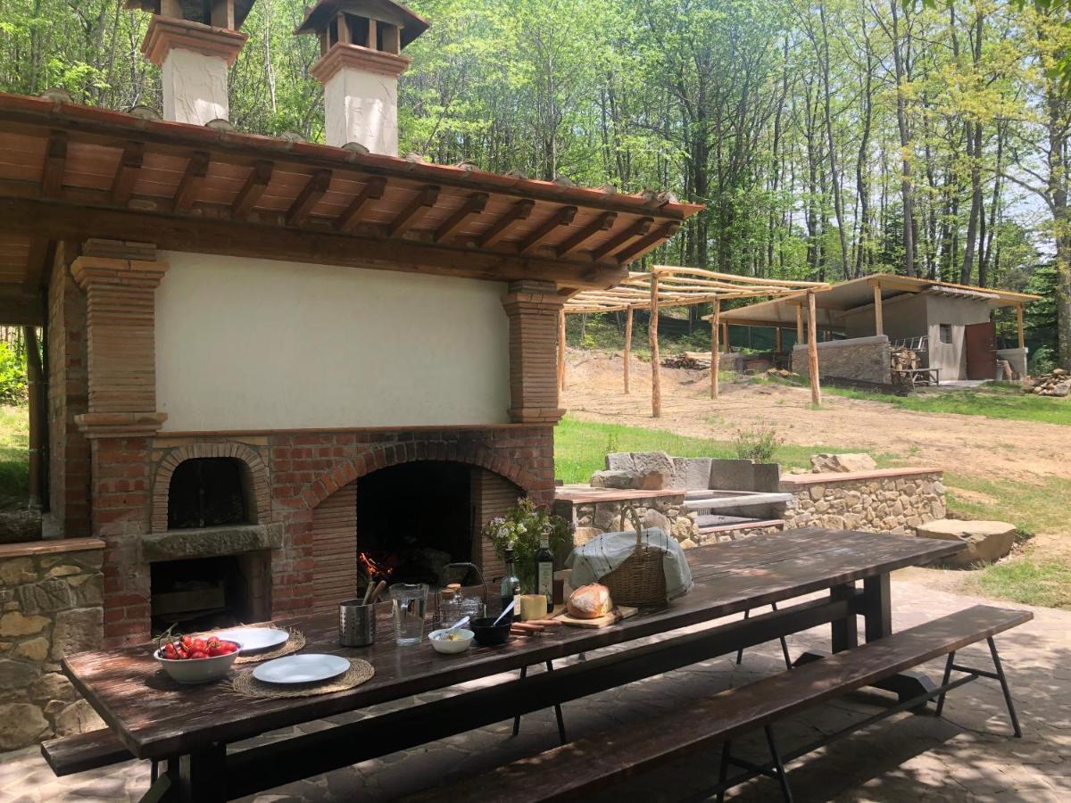 Agriturismo La Casa Nel Bosco Boveglio 외부 사진